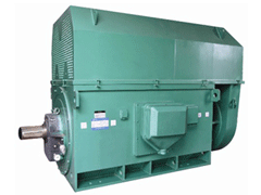 Y4005-8/200KWY系列6KV高压电机